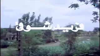 و توتة توتة توتة و لا تخلص الحدوتة   فاطمة عيد دندنها