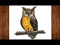 Owl Drawing Colour How To Draw Owl Owl Colour