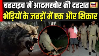 wolf attack in bahraich cm yogi