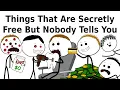 Things That Are Secretly Free But Nobody Tells You