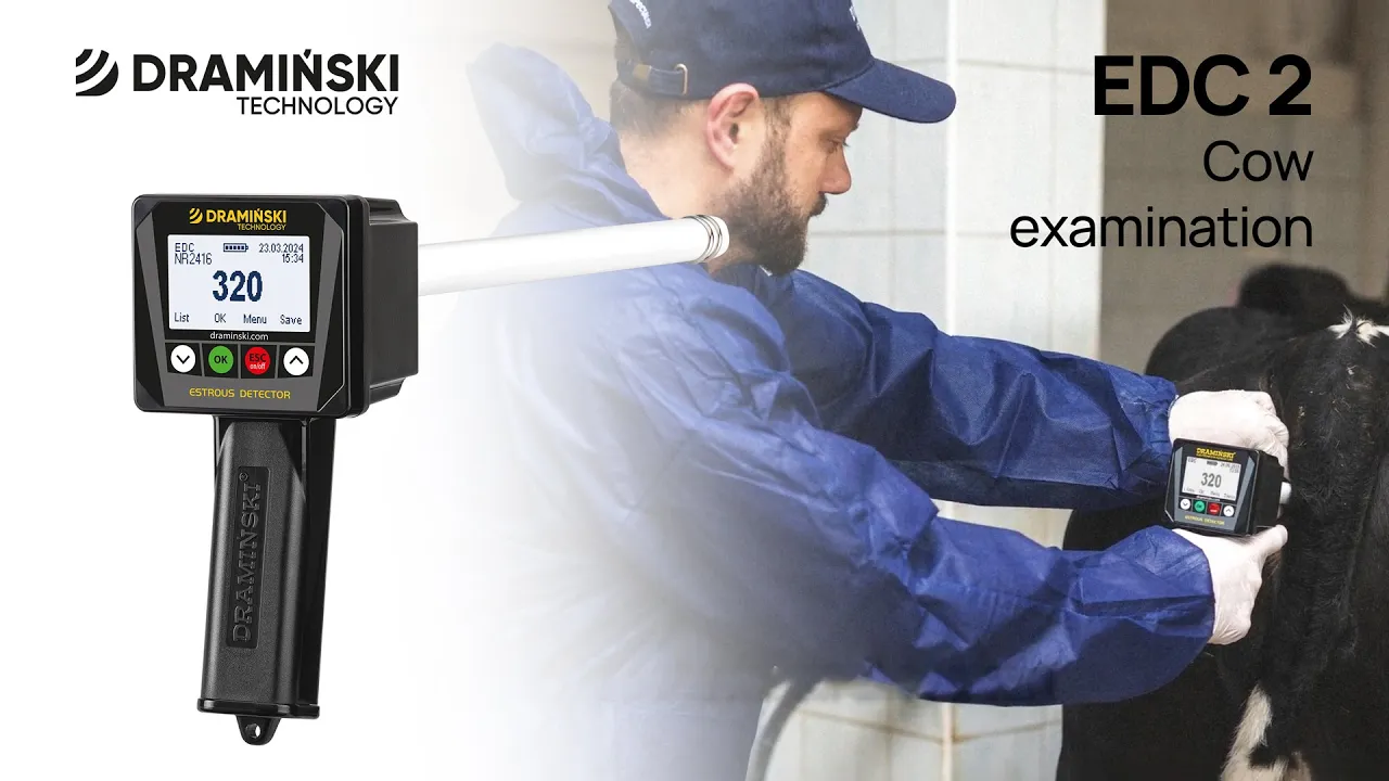 DRAMIŃSKI Estrous detector for cows and mares EDC2. Cow examination (en)