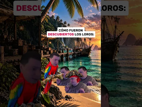 Cómo fueron descubiertos los loros 🦜 #españa #meme #amigos
