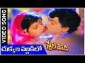 Download Lagu Chukkala Pallakilo | State Rowdy Telugu Movie Video Song | Chiranjeevi | Bhanupriya | Rajshri Telugu