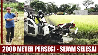 Download SAWAH LEBIH 2.000 METER PERSEGI -- DIPANEN KURANG DARI 1 JAM MP3