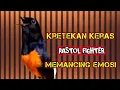 Kretekan Keras Murai Pastol Fighter Memancing Emosi Lawan 🔥@dirutkicau4l 