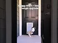 Game-Changer DFW Apartment Community for Dog Owners Luxury Pet-Friendly Apartments