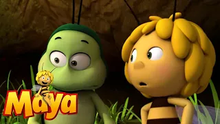 Download Willy Loses His Memory - Maya the Bee - Episode 54 MP3