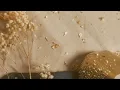 MR TOUT LE MONDE - Tears back