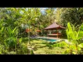 Download Lagu Villa Kala at The Mahalani