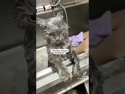 gönderen Dünya gerçekleri ile ilgili sonuçlar