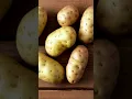 What is Tater NYT Crossword Clue