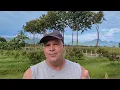 Urgent Thai Baht versus US Dollar How I profited 14000 from it