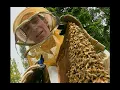 Bill Nye The Science Guy - S02E11