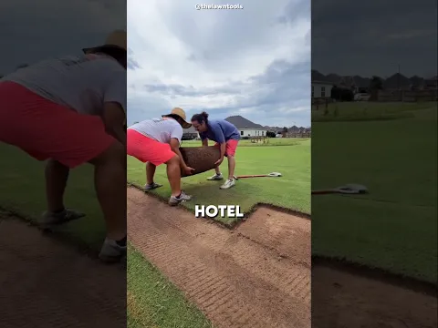 ¡El césped de Dubái que estos amigos se llevaron! 😱#shorts