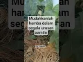 Download Lagu mudahkanlah dalam segala urusan aamiin #muhasabahdiri #katakatahikmahpendek #katahatimotivasi