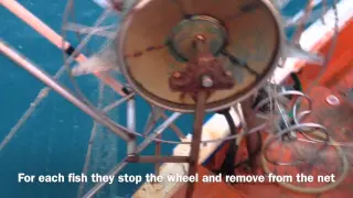 Sicilian Fishing Boat