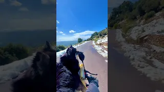 اغنية زار ثلج بلدتنا  اكسبلور دندنها