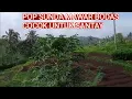 Download Lagu pop SUNDA MAWAR BODAS