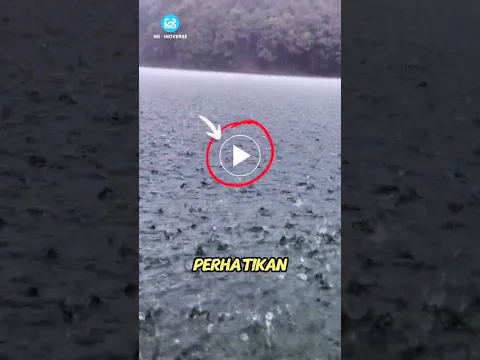 Kenapa Kita Suka Melihat Hujan dari Jendela?