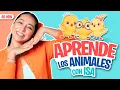 Aprende Peque con Isa ft. @canticosworld  - Primeras Palabras Para Peques - Animales - Toddler Fun