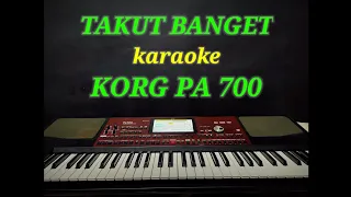 Download TAKUT BANGET KARAOKE ( RITA SUGIARTO ) COVER KORG PA700 MP3