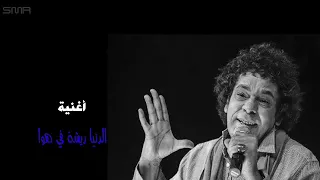 الدنيا ريشة في هوا بدون موسيقي محمد منير 