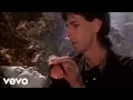 Download Lagu Ric Ocasek - Emotion In Motion (Official Video)