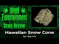 Hawaiian Snow Cone - by Big Al s