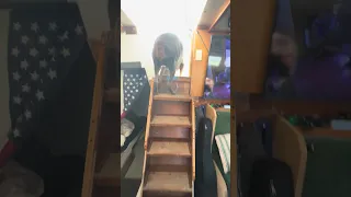 #fyp #dream #pets #doberman #vlog