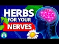 Download Lagu Top 10 Best Herbs for Your Nerves (Nervous System Boost)