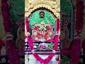 Download Lagu Thara charna ro amrit 🙏🙏#सवारियां_सेठ #राधेराधे #ट्रेंडिंग #भक्ति#भजन