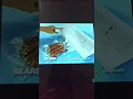Seal N Save By Kenmore A Sears Commercial 2002