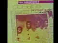 The Techniques - You Dont Care