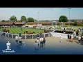 Tattersalls July Sale 2026 Day 1 Review