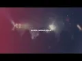 Fleiva Music & Jay Kalyl - Por Ti (Video letra Oficial)