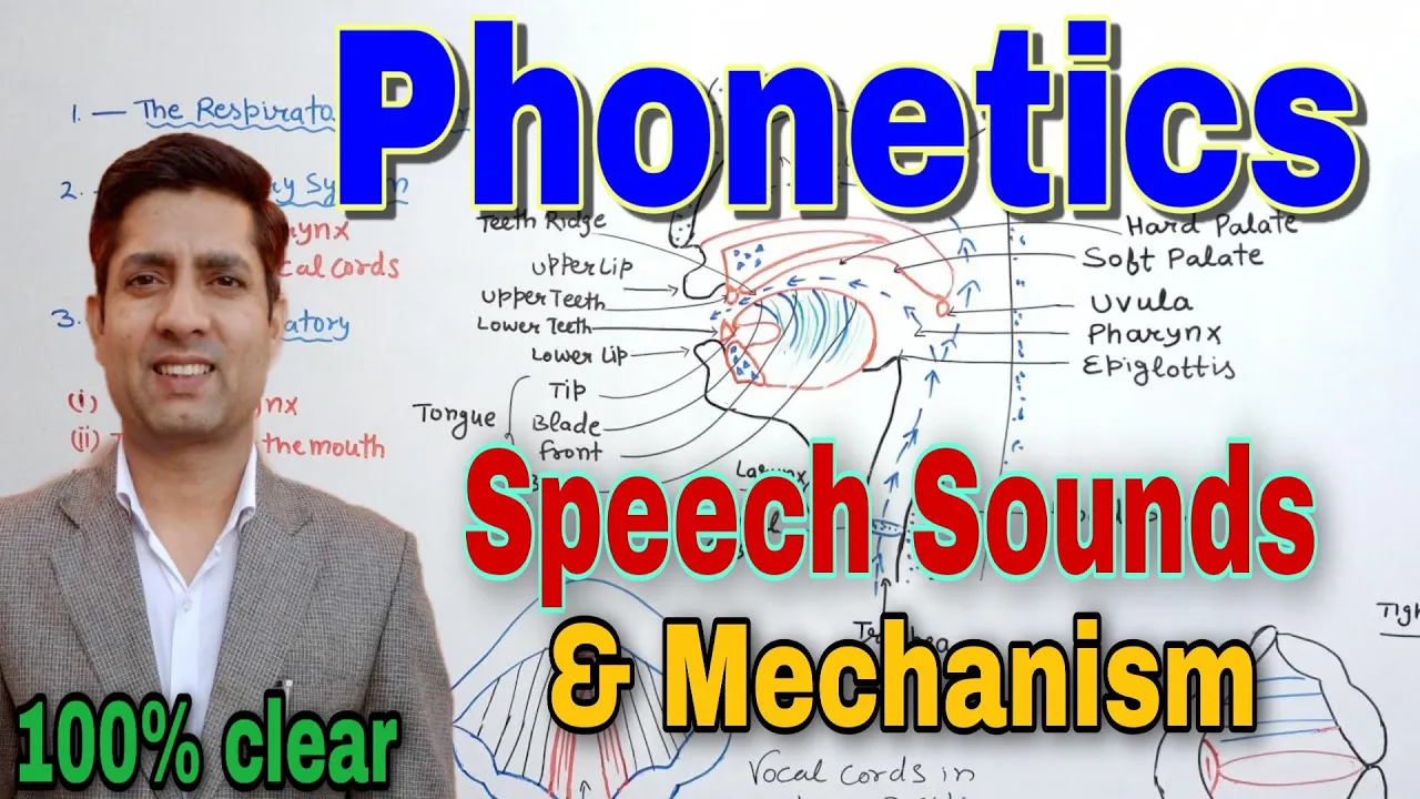 Organs of Speech | Speech Mechanism | Phonetics | organs of speech in english