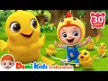 Download Lagu Lima Anak Ayam🐣 \u0026 Lagu-Lagu Hewan untuk Anak-anak | Lagu Anak | Domi Kids