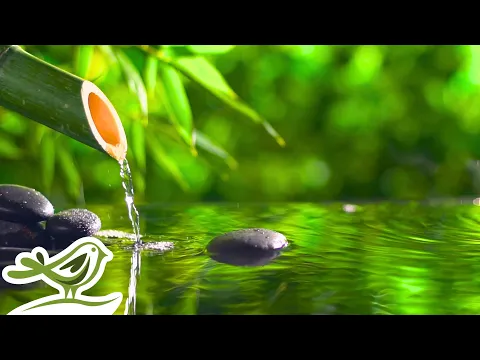 Download MP3 Peaceful Spa Radio 💦 Water Sounds \u0026 Relaxing Music 24/7