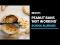 Allergy experts say schools should do this instead of banning peanuts ABC News