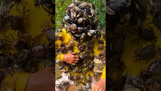 ToRung Comedy Catching Crabs In Ohio  ToRung Comedy Catching Crabs In Ohio