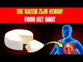 Download Lagu Cardioloog Waarschuwt: Deze 5 Kazen Zijn Giftig Voor Het Hart