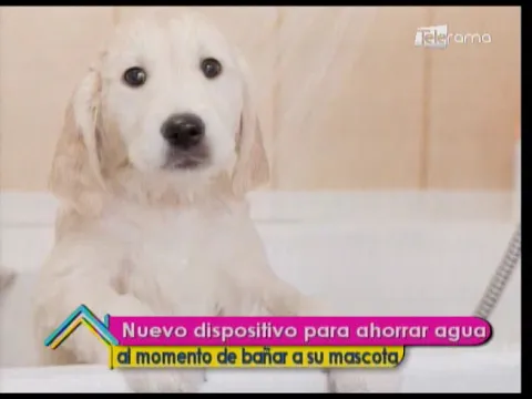 Nuevo dispositivo para ahorrar agua al momento de bañar a su mascota