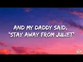 Taylor Swift - Love Story (Lyrics)