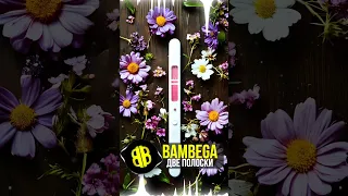 BAMBEGA Две полоски SUNO AI 