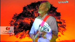 ملك الجاز السوداني الفنان شرحبيل أحمد الليل الهادي 