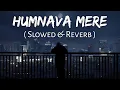 Download Lagu Humnava Mere (Slowed And Reverb) Jubin Nautiyal | Sad Song | Lofi Music Channel