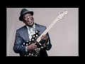 Buddy Guy- Stone Crazy