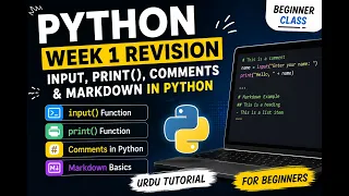 Python Beginner Tutorial Urdu Input Function Print Comments