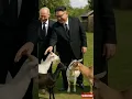 Download Lagu Putin and Kim Jong Un in action at Donald Trump's goat farm #shorts #funny #trump
