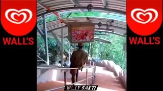 suara pedagang es krim walls versi 5 menit 